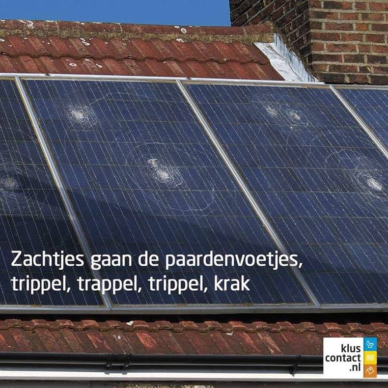 Gewoon een verzameling hilarische foto's #902