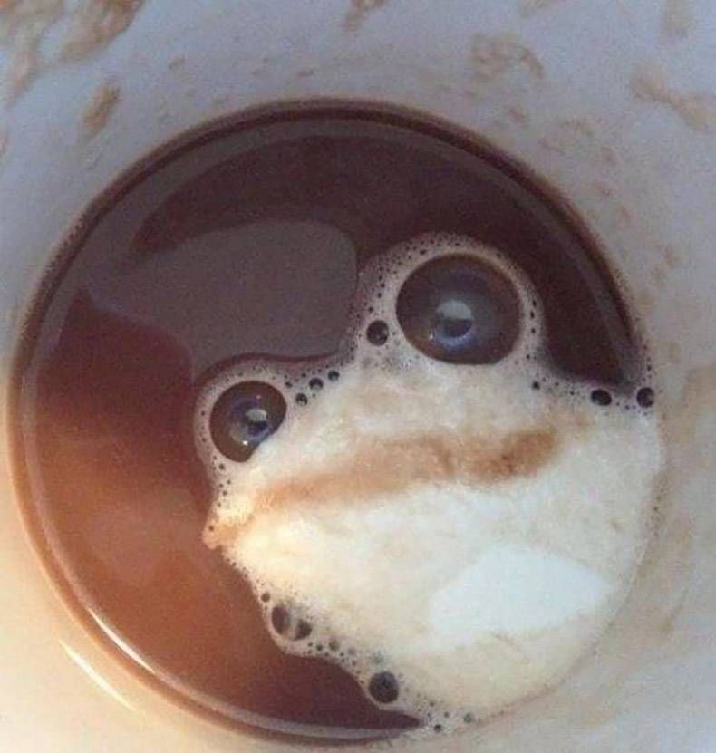 Gewoon een verzameling hilarische foto's #760