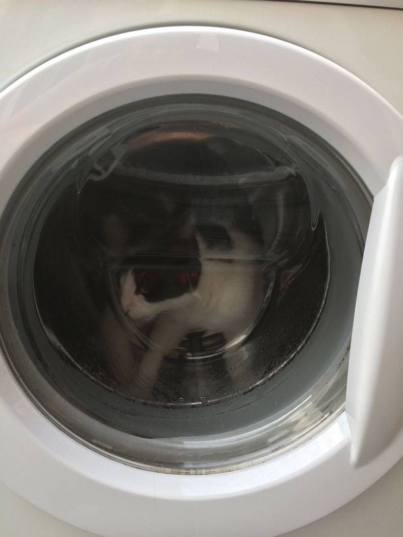 Gewoon een verzameling hilarische foto's #712