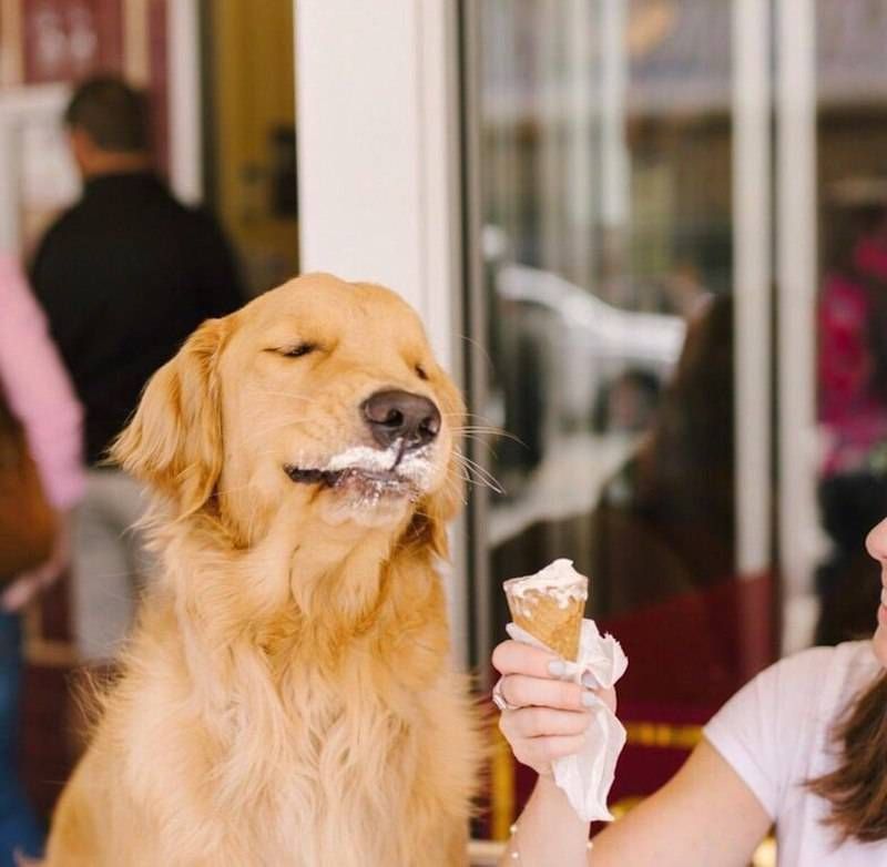 Gewoon een verzameling hilarische foto’s #906