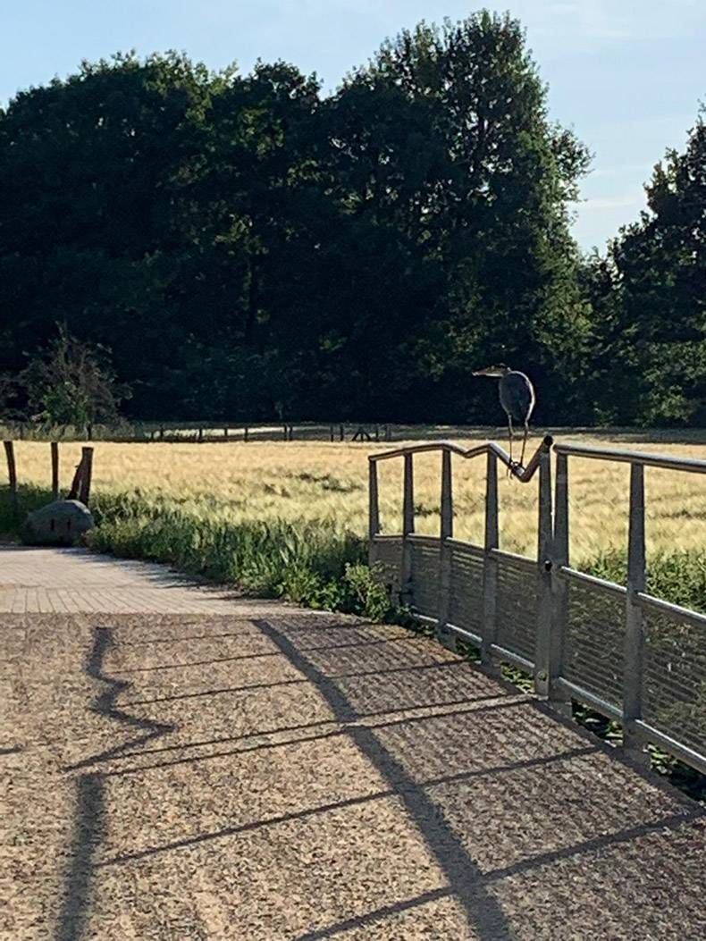Gewoon een verzameling hilarische foto's #1295