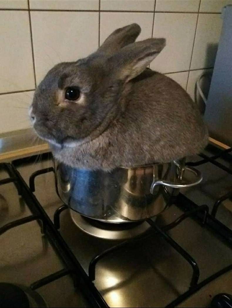 Gewoon een verzameling hilarische foto's #1224