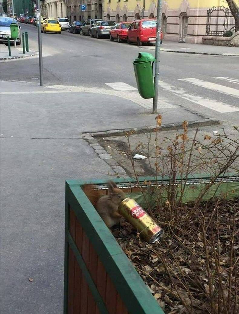 Gewoon een verzameling hilarische foto's #1223