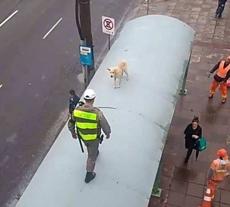 Gewoon een verzameling hilarische foto's #1181