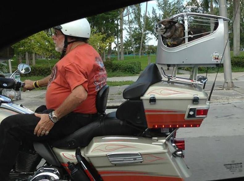 Gewoon een verzameling hilarische foto's #1160