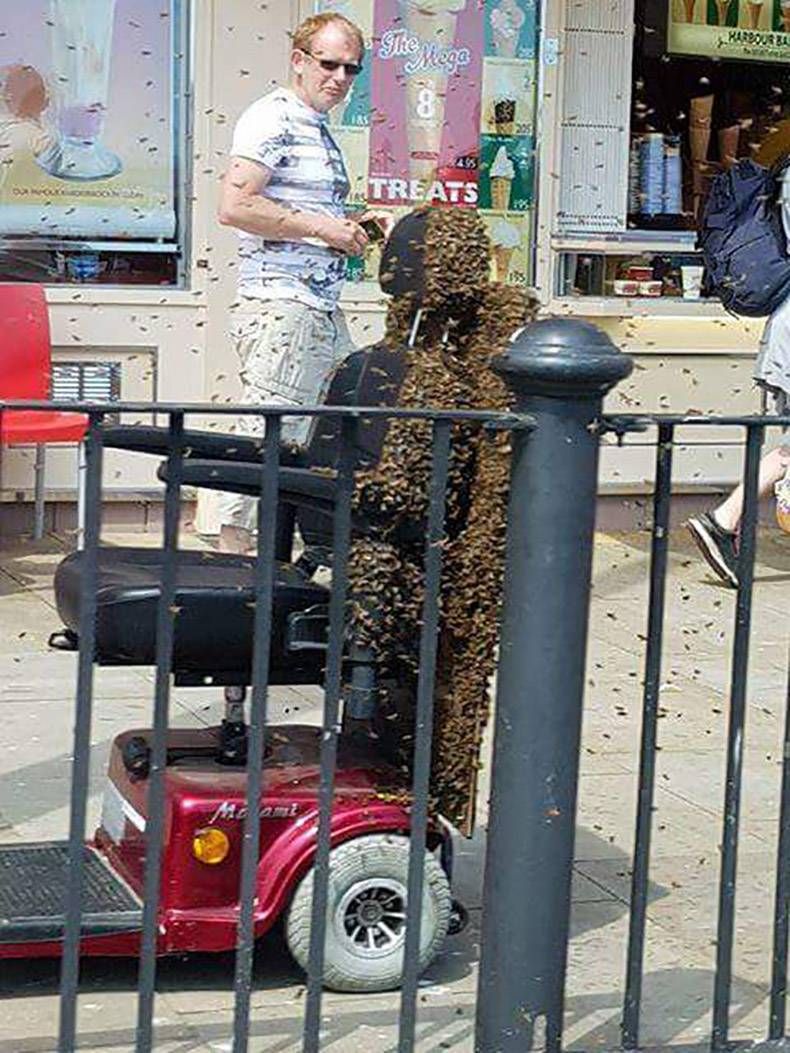 Gewoon een verzameling hilarische foto's #993
