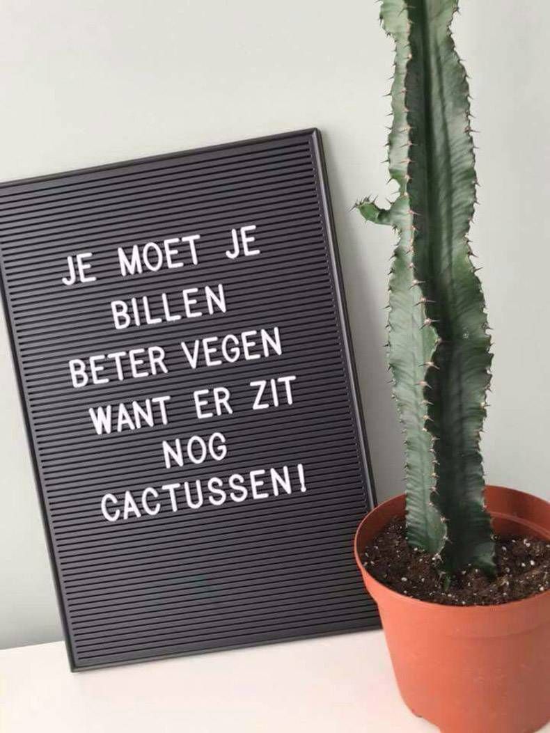 Gewoon een verzameling hilarische foto's #900