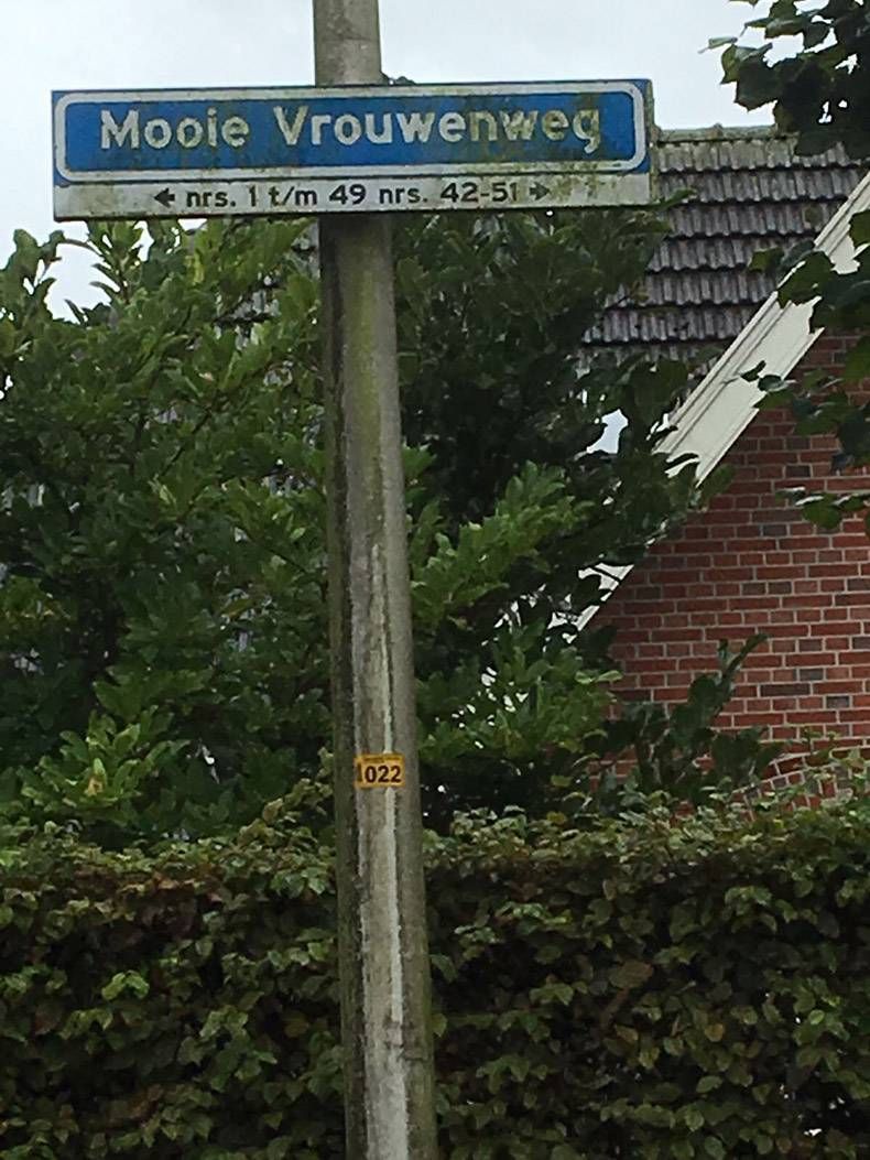 Gewoon een verzameling hilarische foto's #867