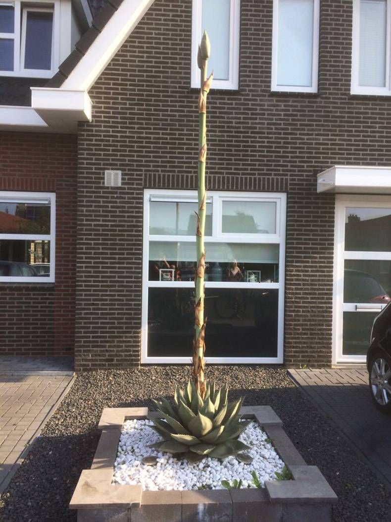 Gewoon een verzameling hilarische foto's #830