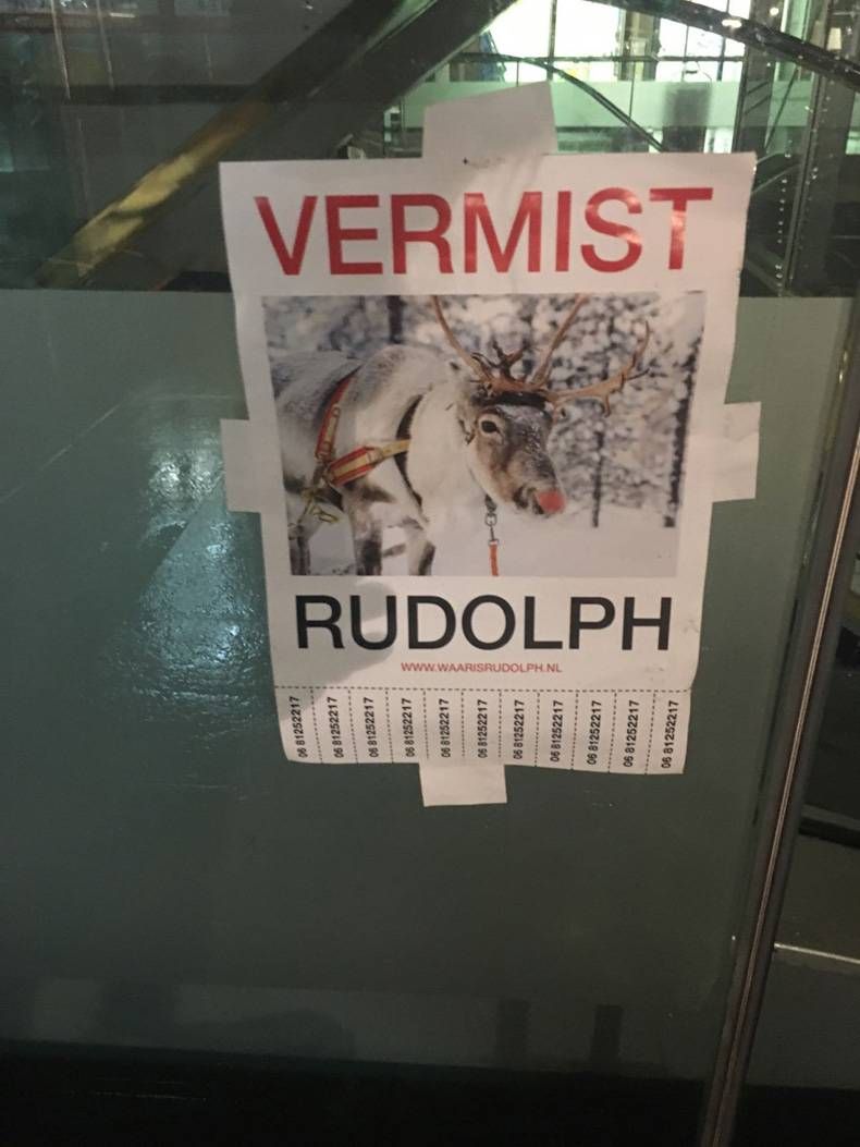 Gewoon een verzameling hilarische foto's #748