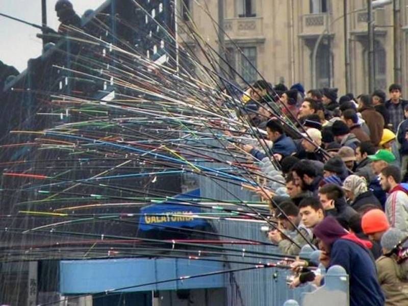 Gewoon een verzameling hilarische foto’s #951