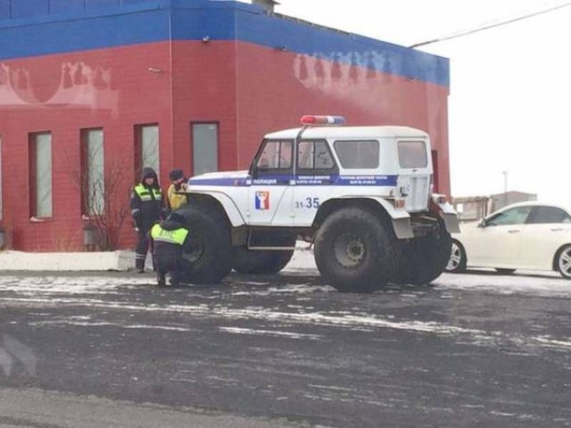 Gewoon een verzameling hilarische foto’s #800