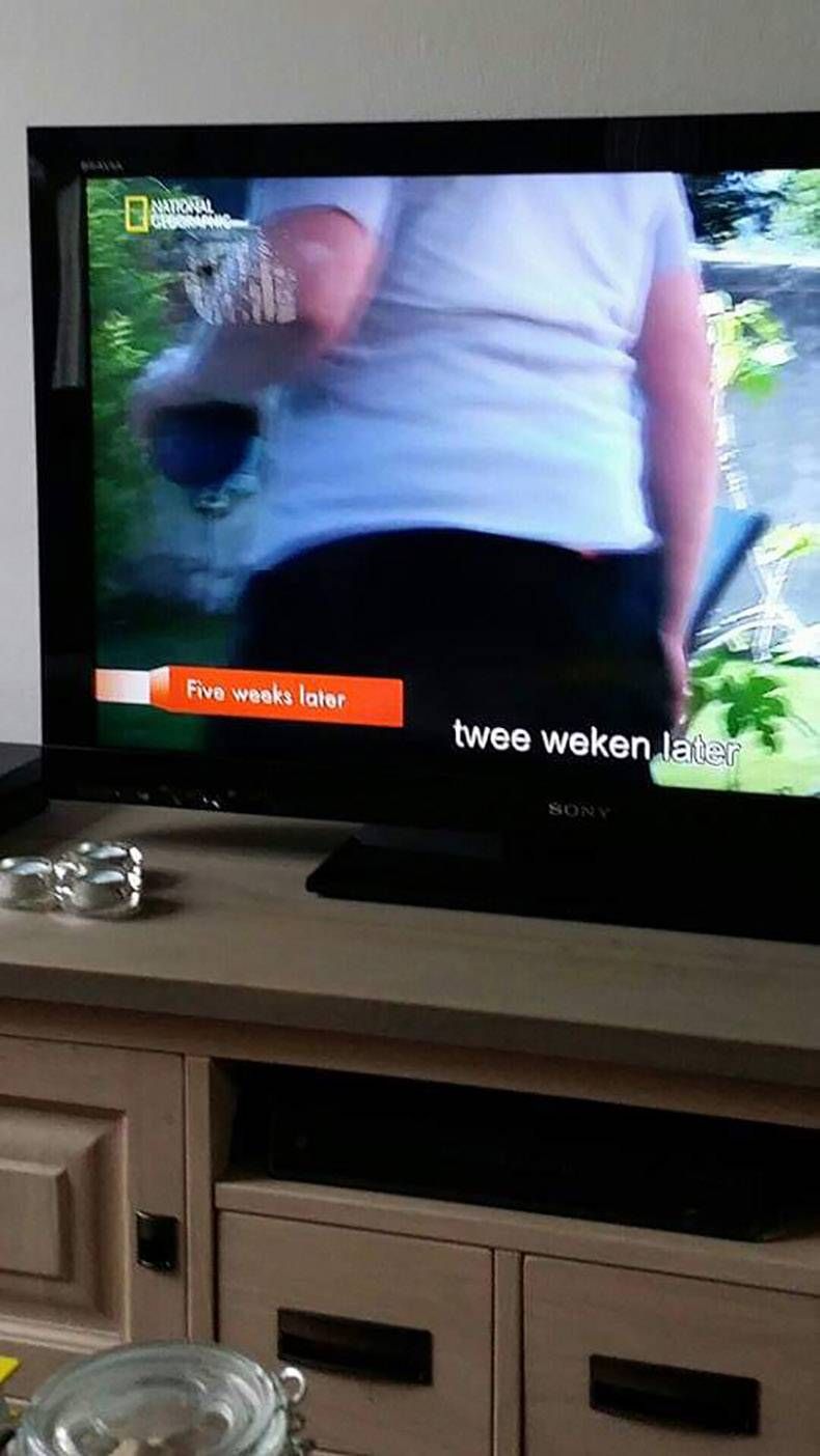 Gewoon een verzameling hilarische foto's #1297