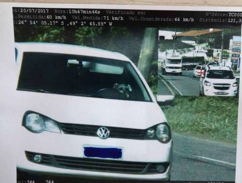 Gewoon een verzameling hilarische foto's #1160