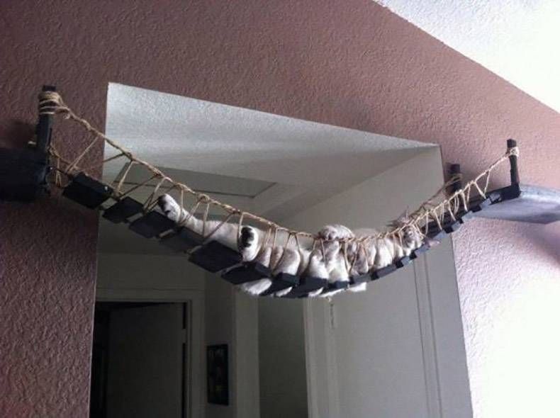 Gewoon een verzameling hilarische foto's #933