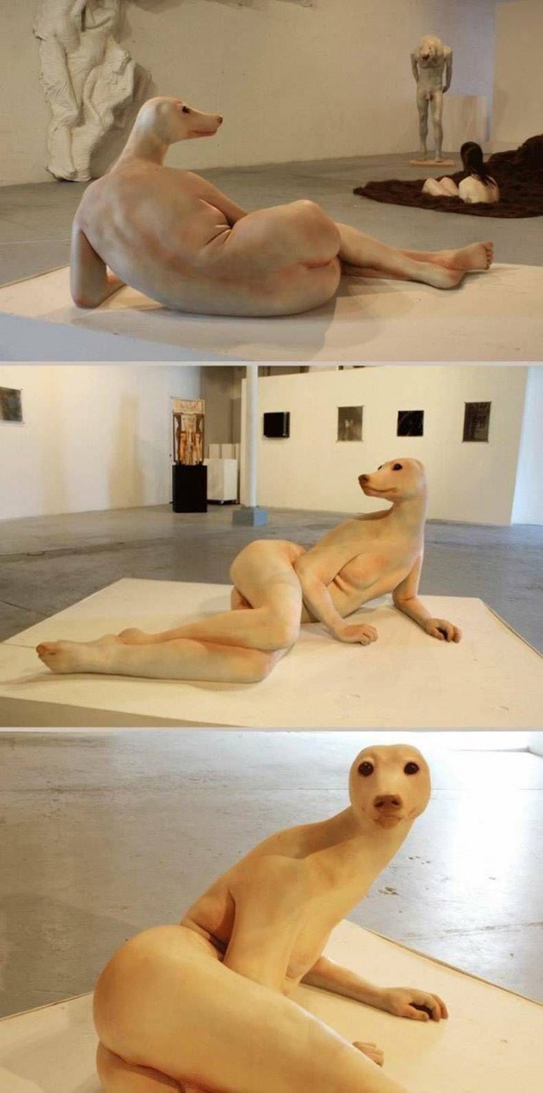 Gewoon een verzameling hilarische foto's #871