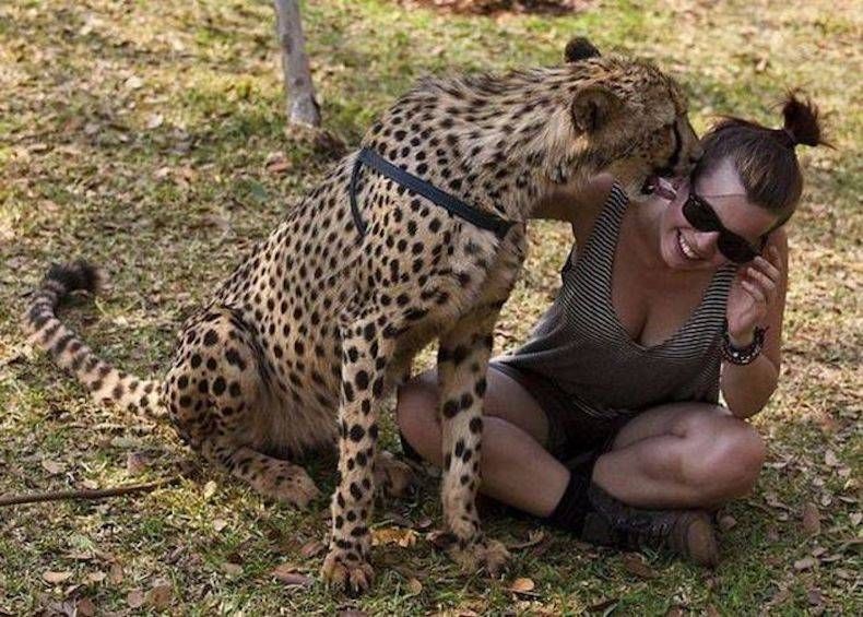 Gewoon een verzameling hilarische foto's #746