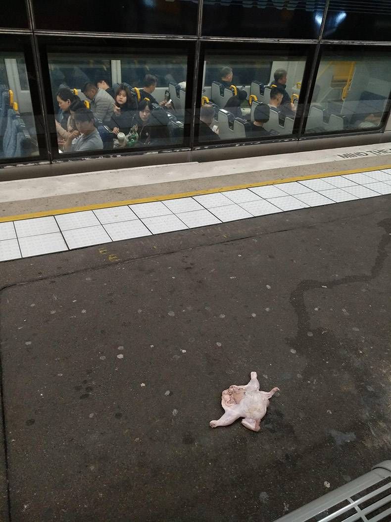Gewoon een verzameling hilarische foto's #1192