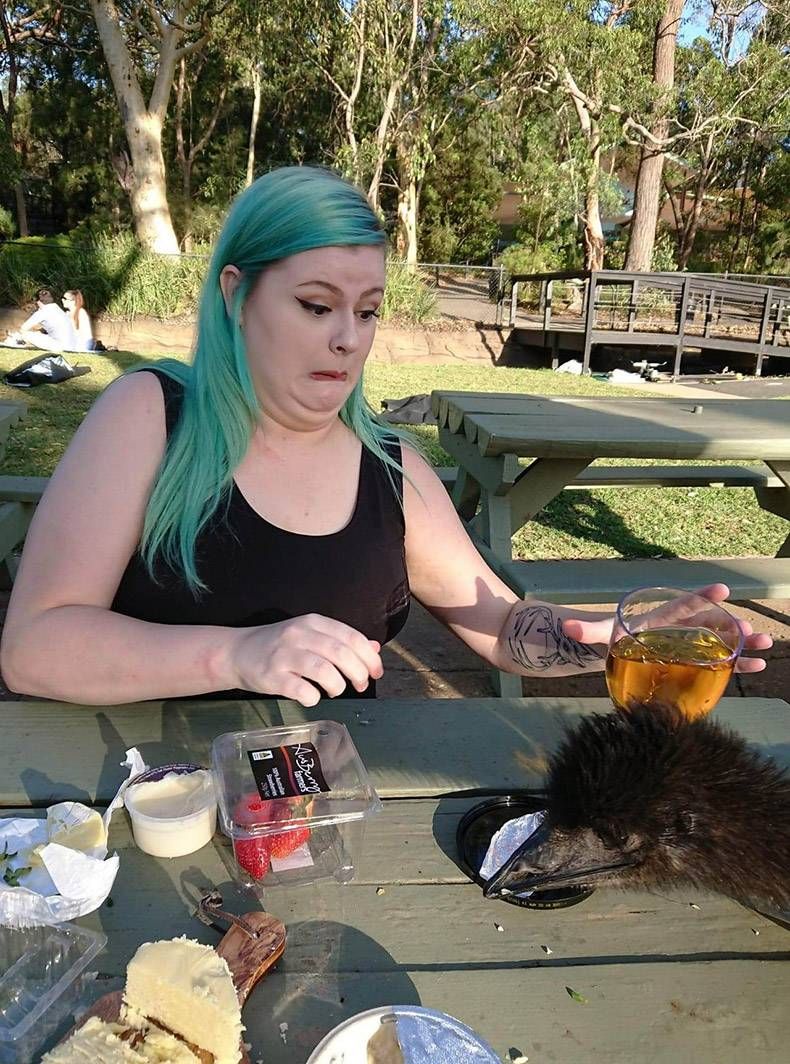 Gewoon een verzameling hilarische foto's #1095