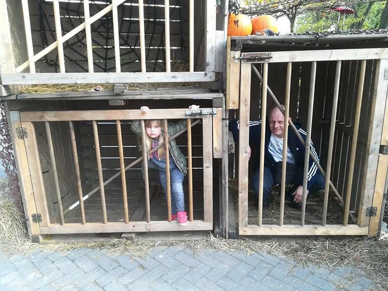 Gewoon een verzameling hilarische foto's #885