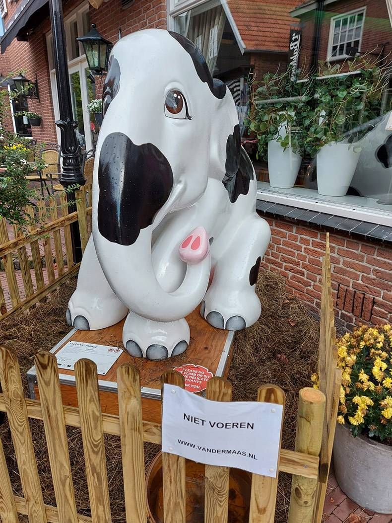 Gewoon een verzameling hilarische foto's #1353