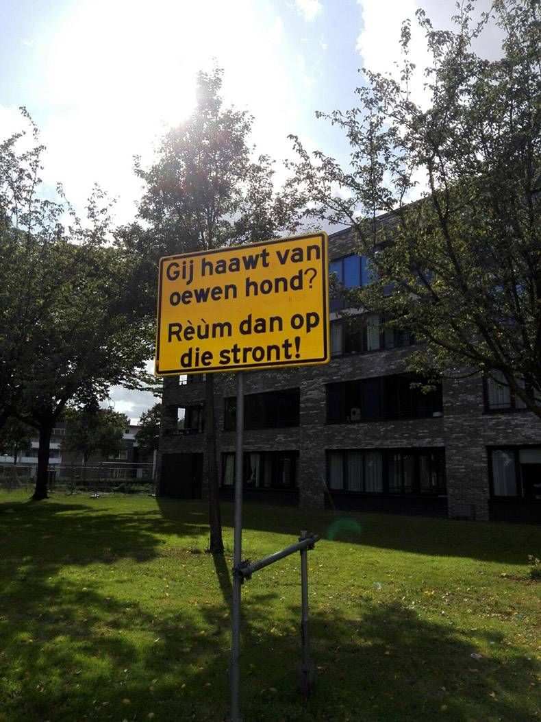 Gewoon een verzameling hilarische foto's #866
