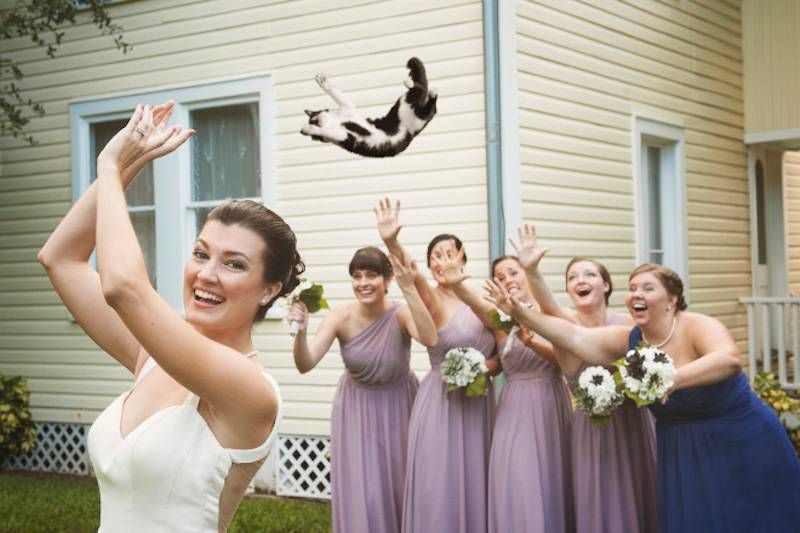 Gewoon een verzameling hilarische foto’s #793