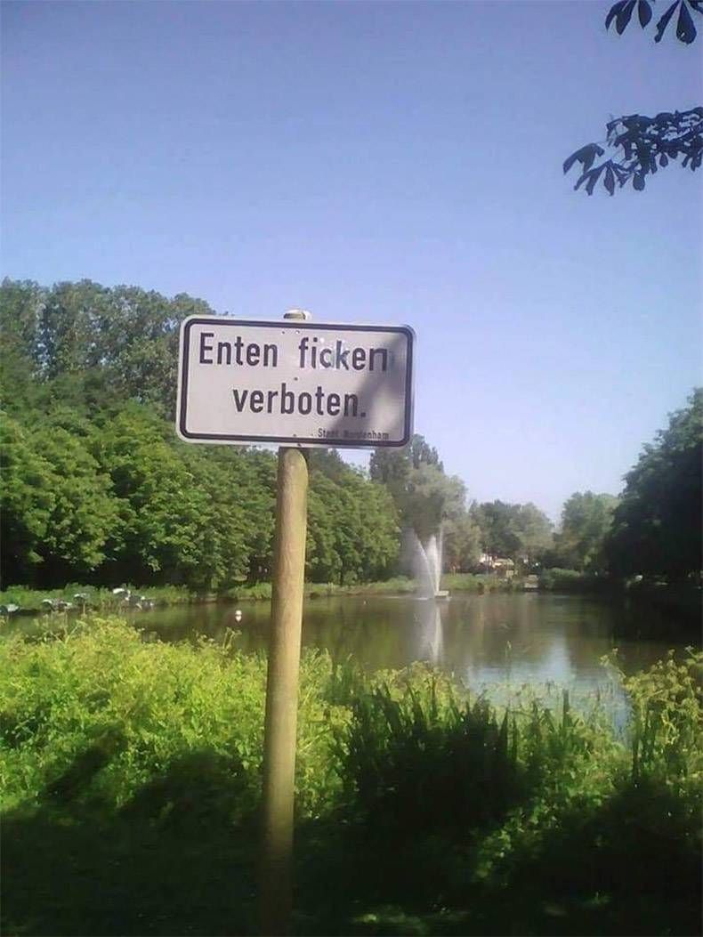 Gewoon een verzameling hilarische foto's #1011