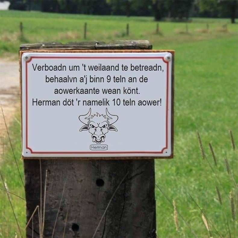 Gewoon een verzameling hilarische foto's #995