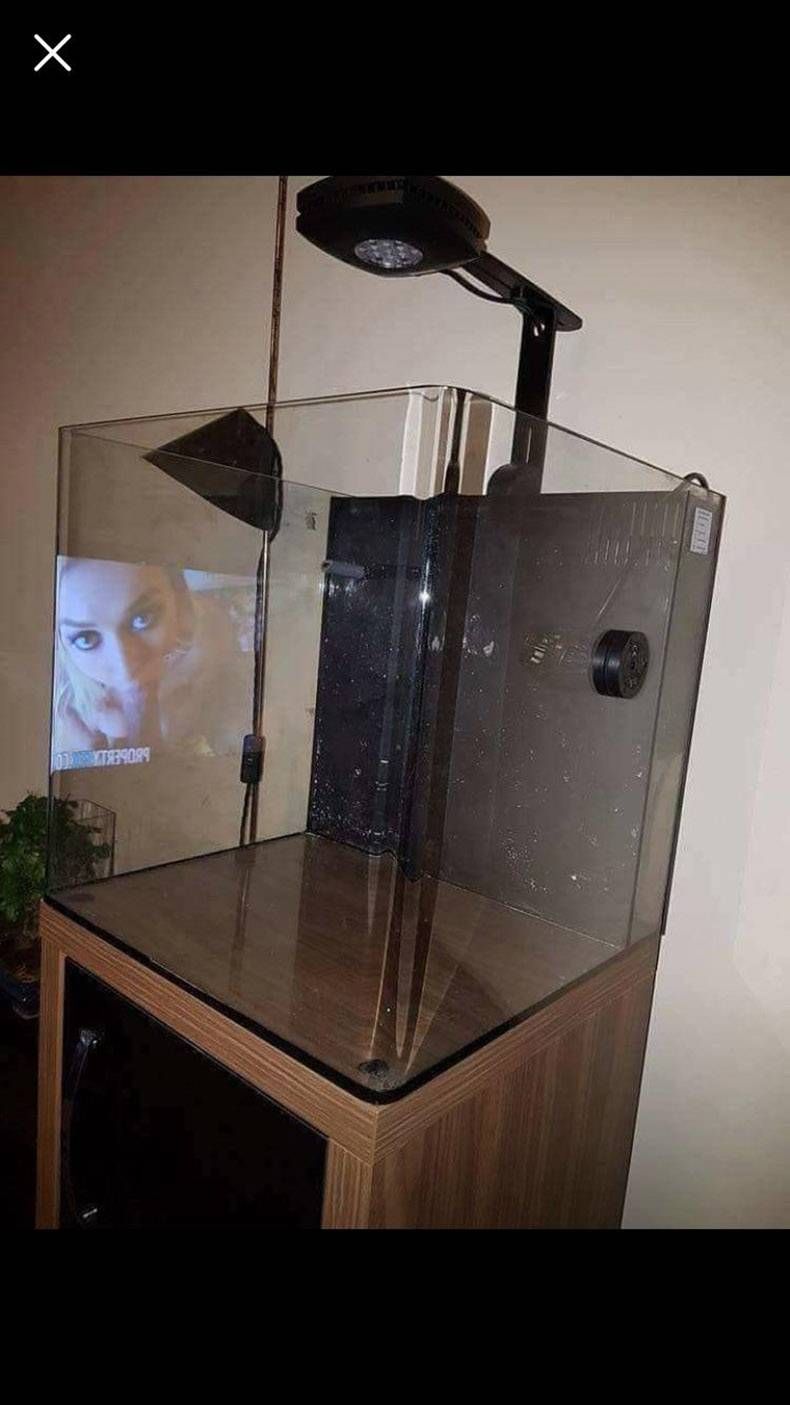 Gewoon een verzameling hilarische foto's #894