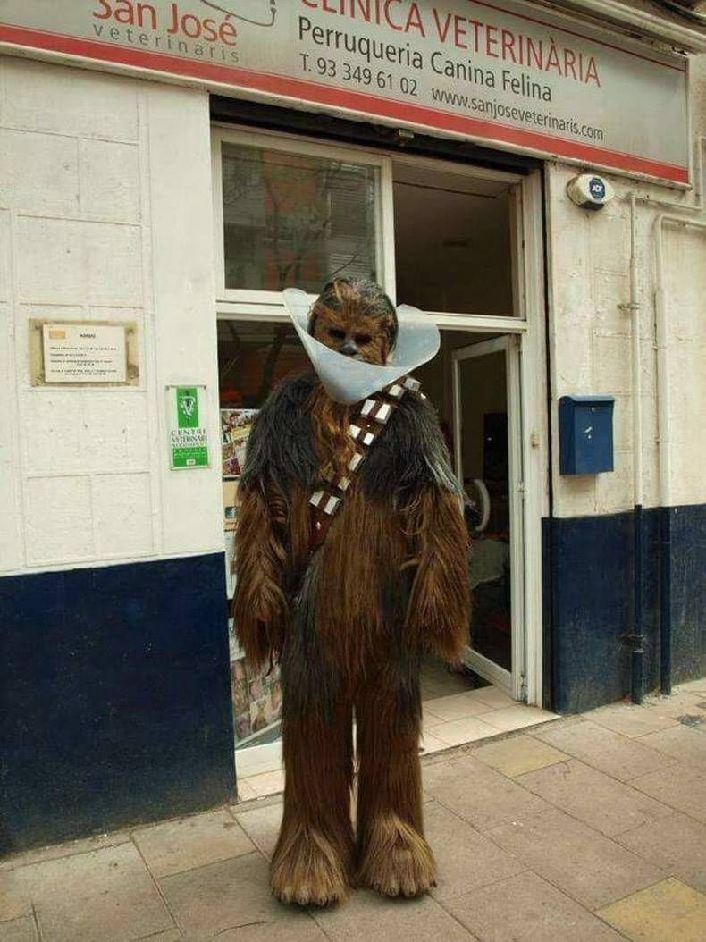 Gewoon een verzameling hilarische foto's #862