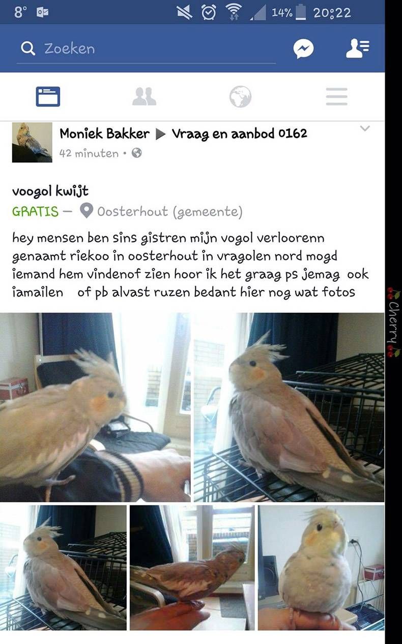 Gewoon een verzameling hilarische foto's #773