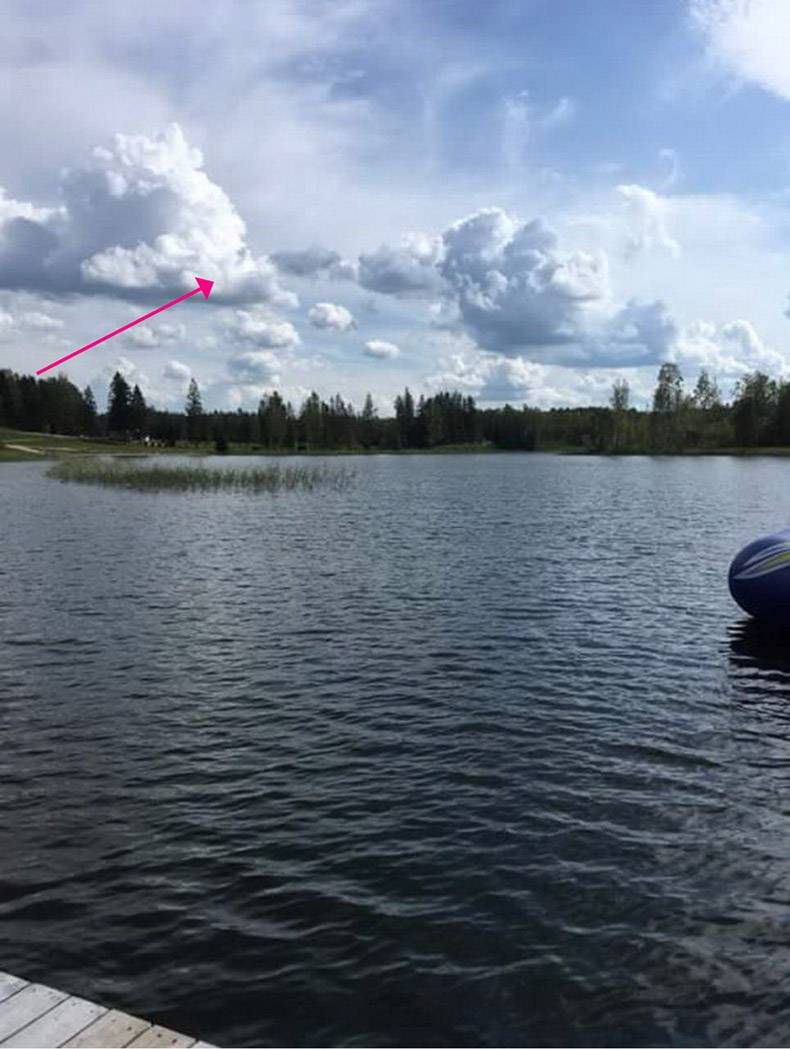 Gewoon een verzameling hilarische foto's #1211