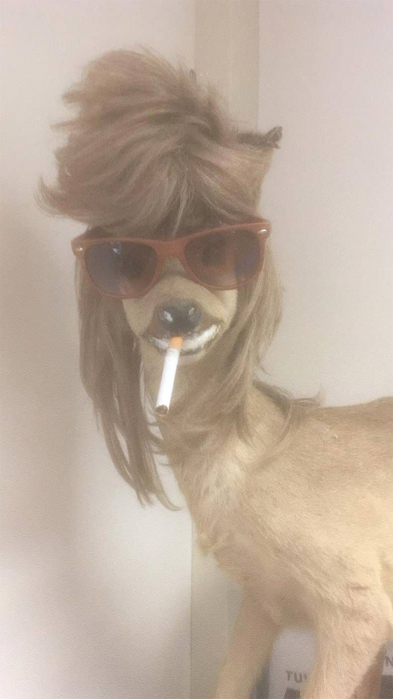 Gewoon een verzameling hilarische foto's #1103