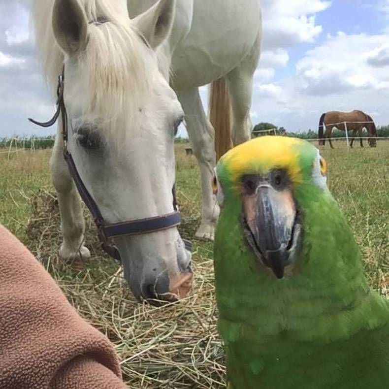 Gewoon een verzameling hilarische foto's #987
