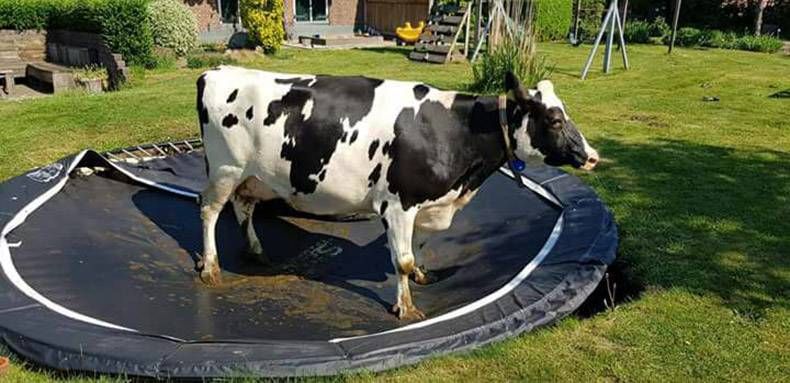 Gewoon een verzameling hilarische foto's #971