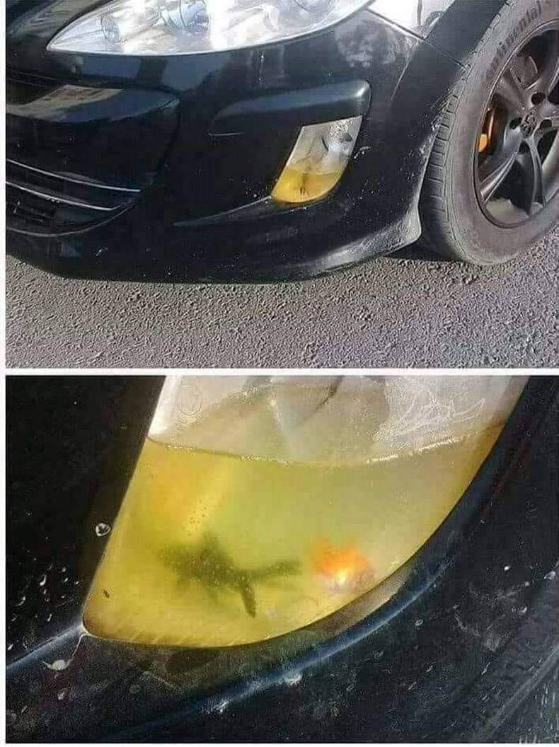 Gewoon een verzameling hilarische foto's #963