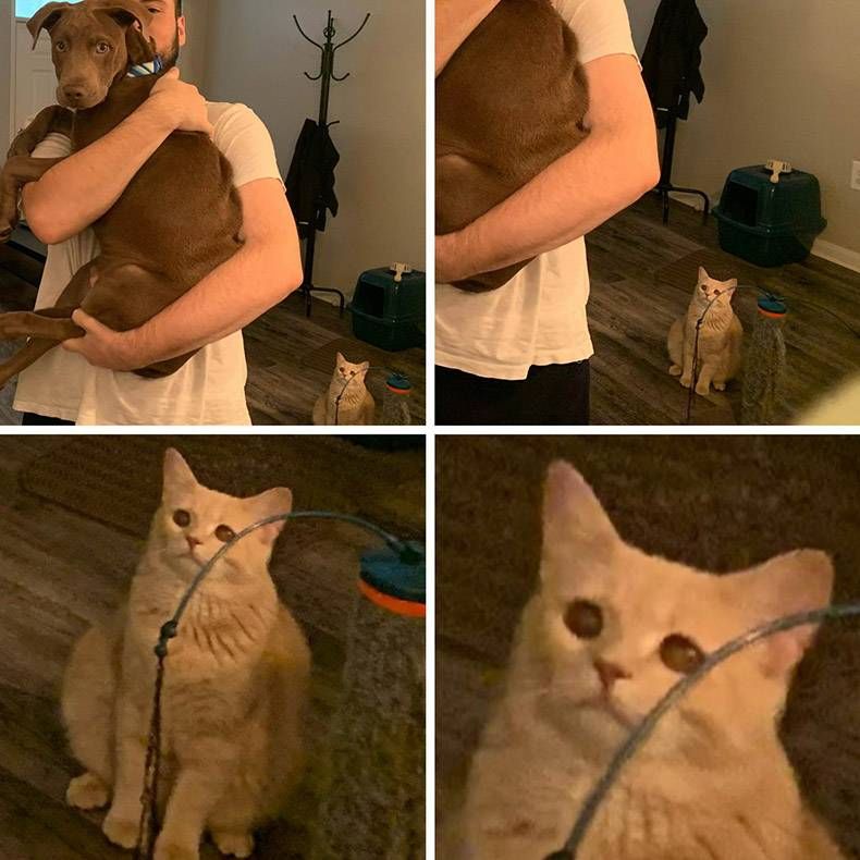 Gewoon een verzameling hilarische foto's #1169