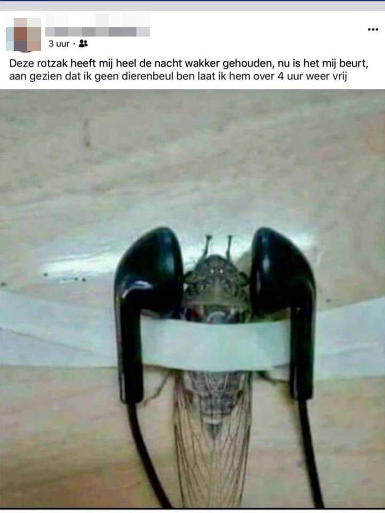 Gewoon een verzameling hilarische foto's #995