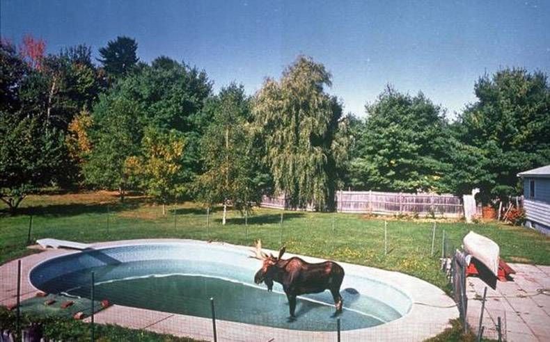 Gewoon een verzameling hilarische foto's #979