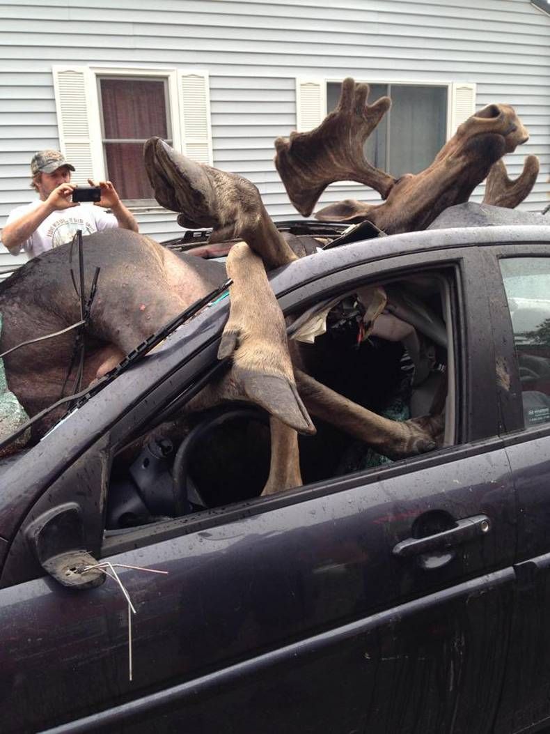 Gewoon een verzameling hilarische foto's #713