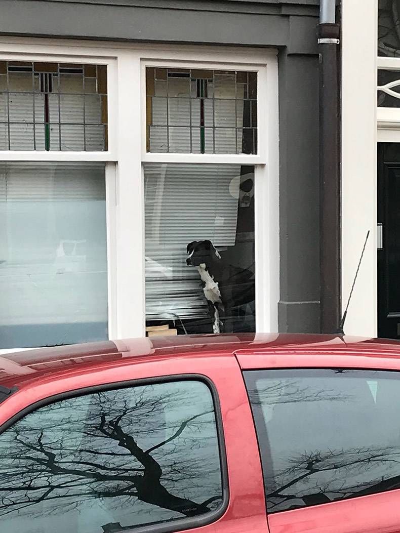 Gewoon een verzameling hilarische foto's #924