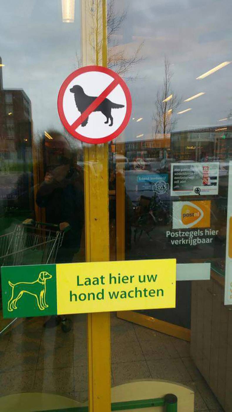 Gewoon een verzameling hilarische foto's #783