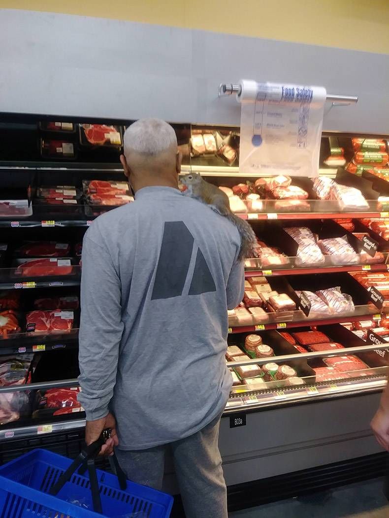 Gewoon een verzameling hilarische foto’s #952