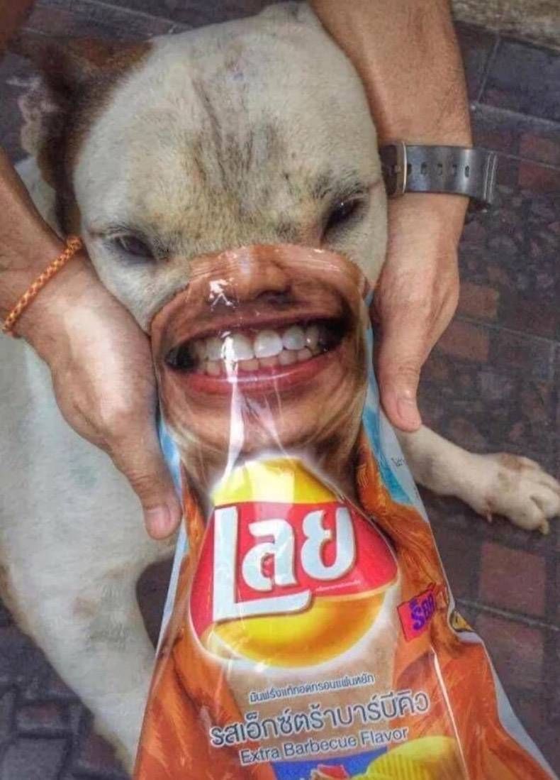 Gewoon een verzameling hilarische foto's #789
