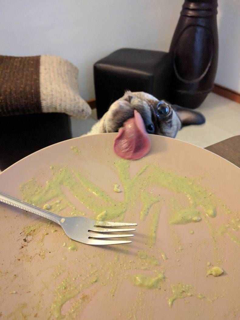 Gewoon een verzameling hilarische foto's #768