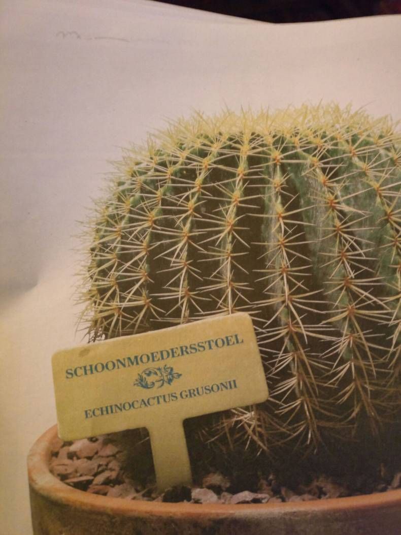 Gewoon een verzameling hilarische foto's #755