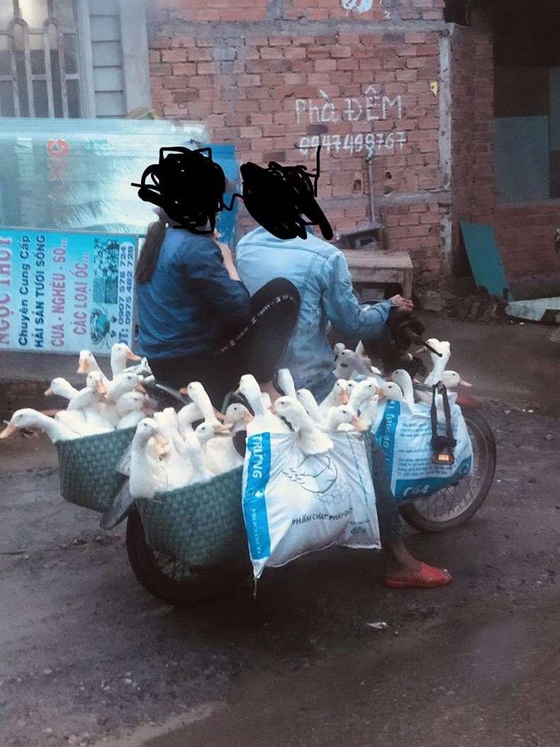 Gewoon een verzameling hilarische foto's #1169