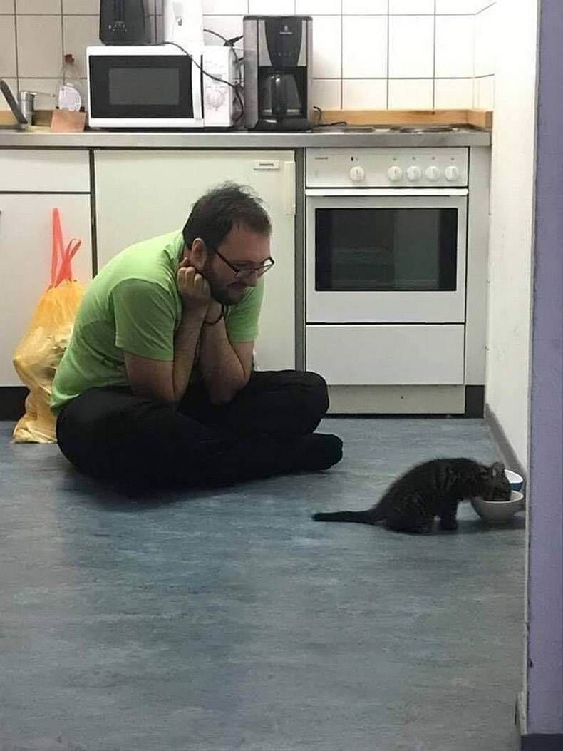 Gewoon een verzameling hilarische foto's #1162