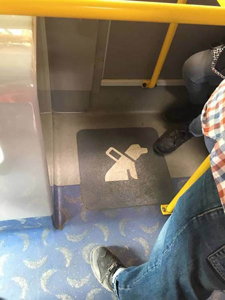 Gewoon een verzameling hilarische foto's #977